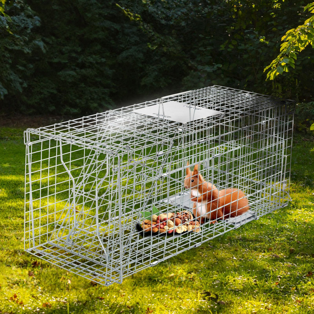 Humane Live Animal Cage Trap – practical Folding Design for Stray Cats, Raccoons, and Groundhogs