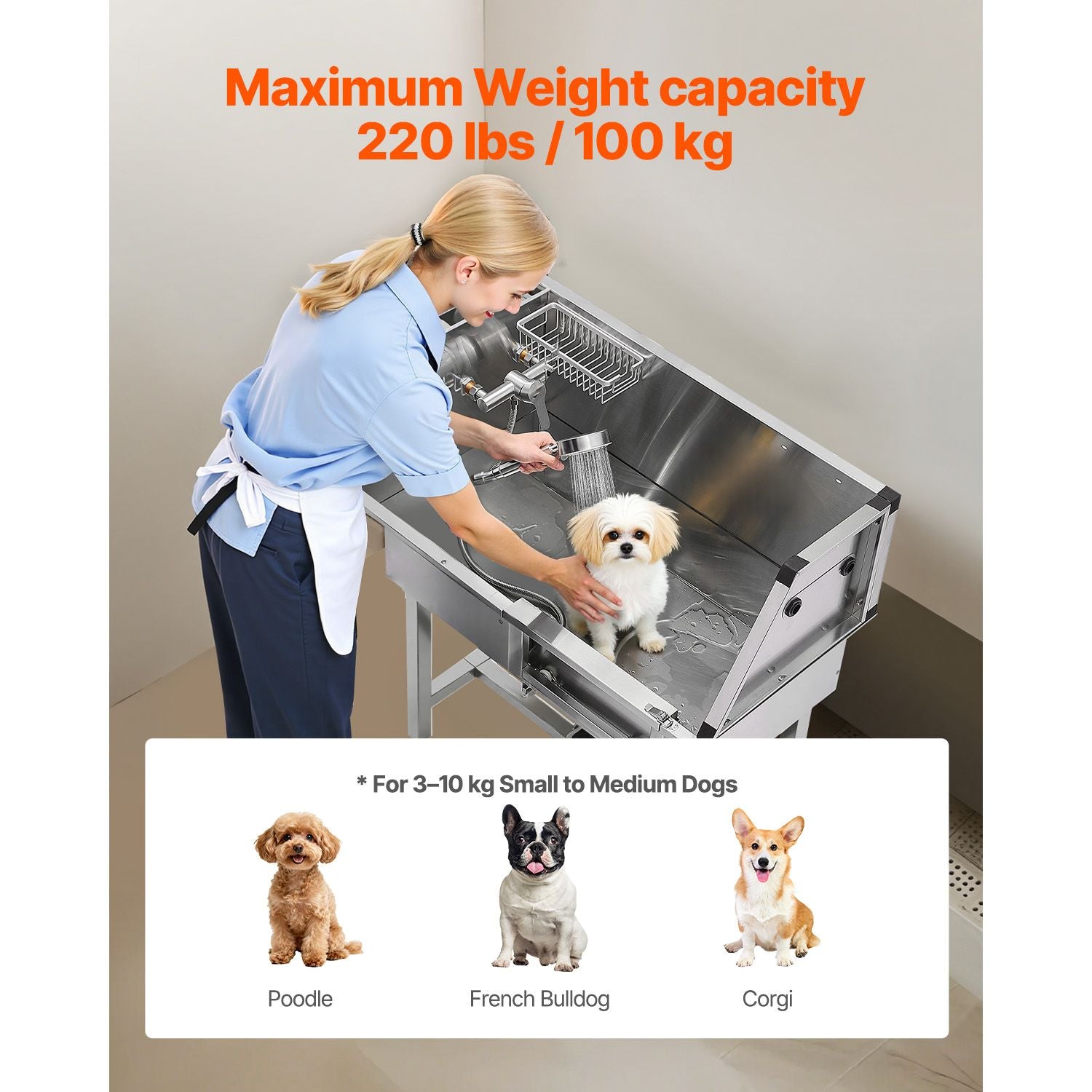 Elevate Your Pet Grooming with a Professional Stainless Steel Dog Washing Station