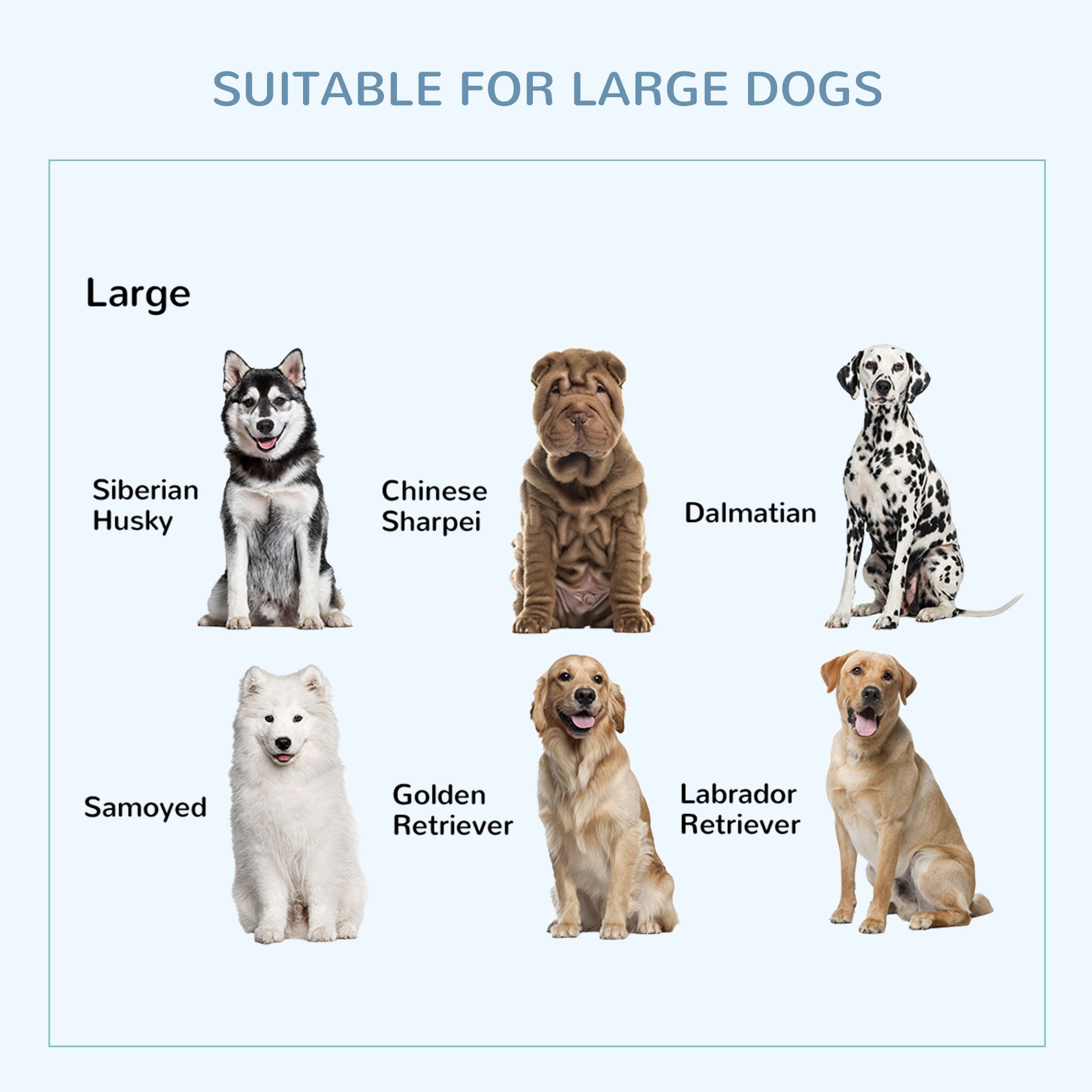 36- practical Dog Crate with Lockable Wheels and Double Door