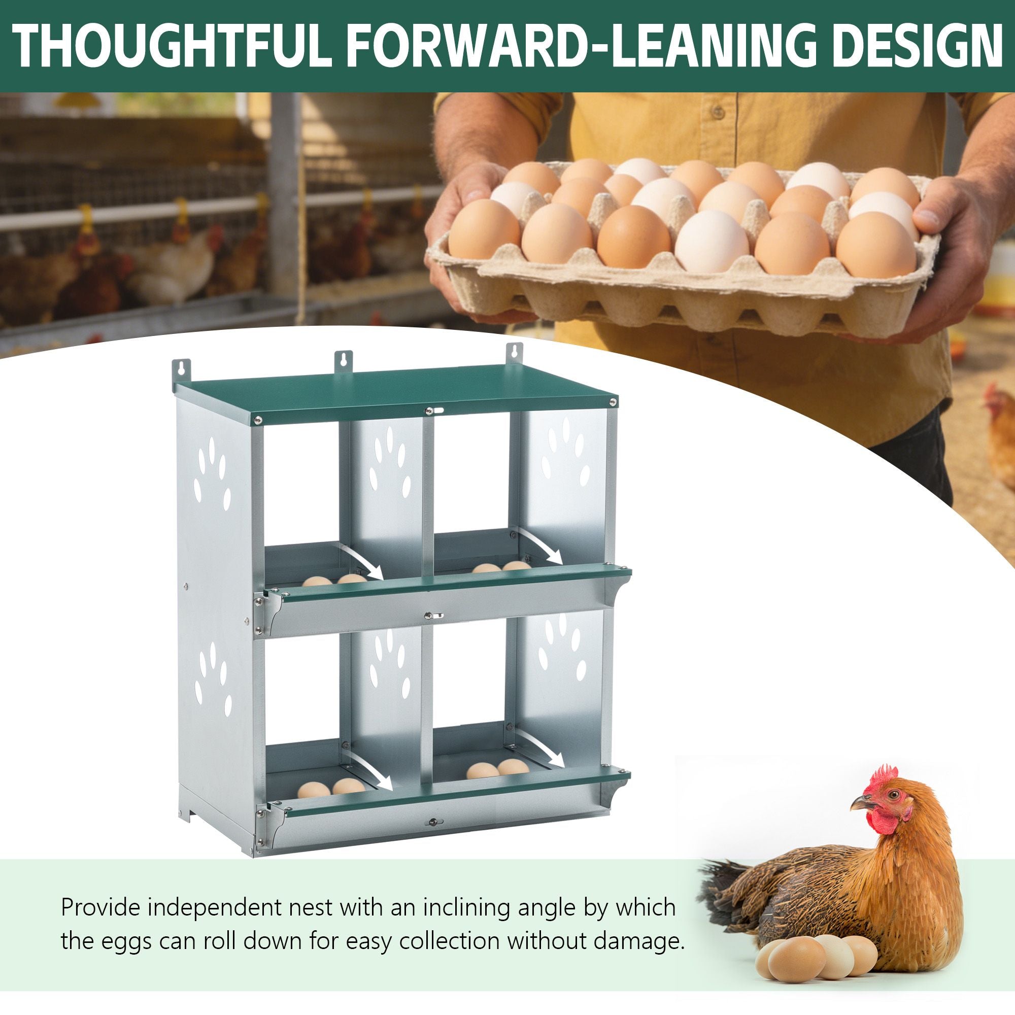 structured Chicken Nesting Box with 4 Compartments