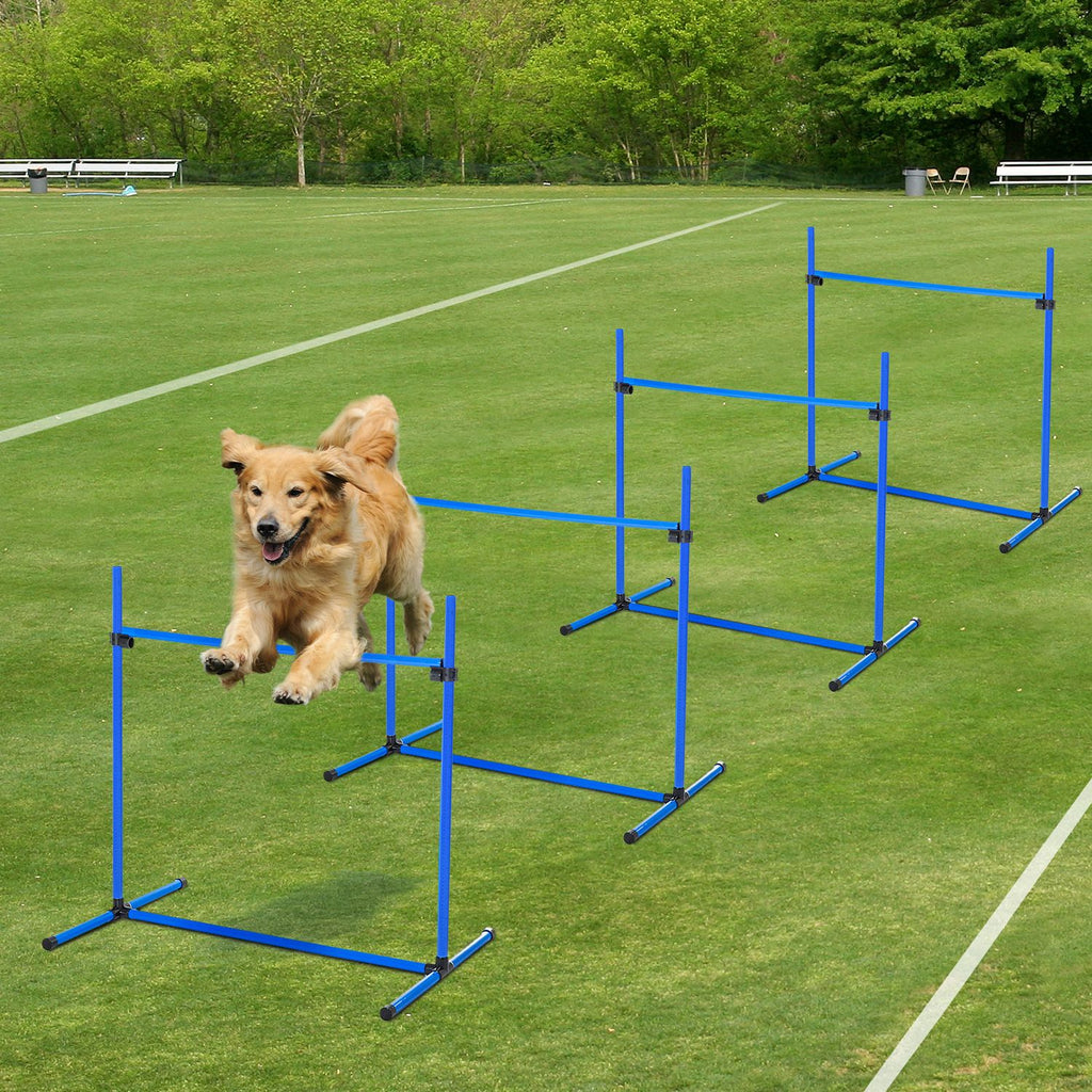 Unleash Your Dog's Potential with This 4-Piece Agility Starter Kit!
