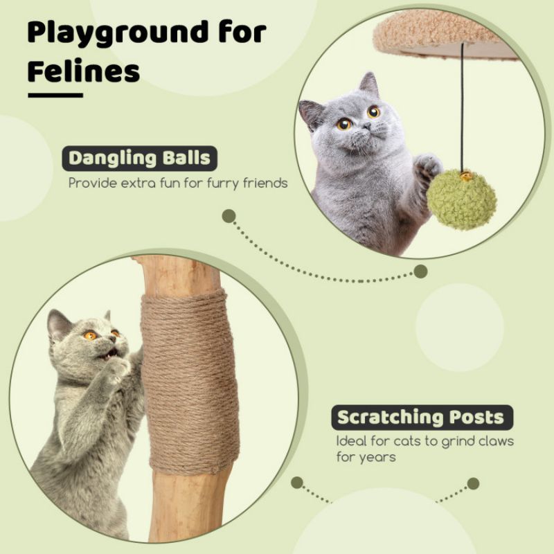 Give Your Cat a Cozy Retreat: 43-Inch Wooden Cat Tree with Padded Perch & Condo