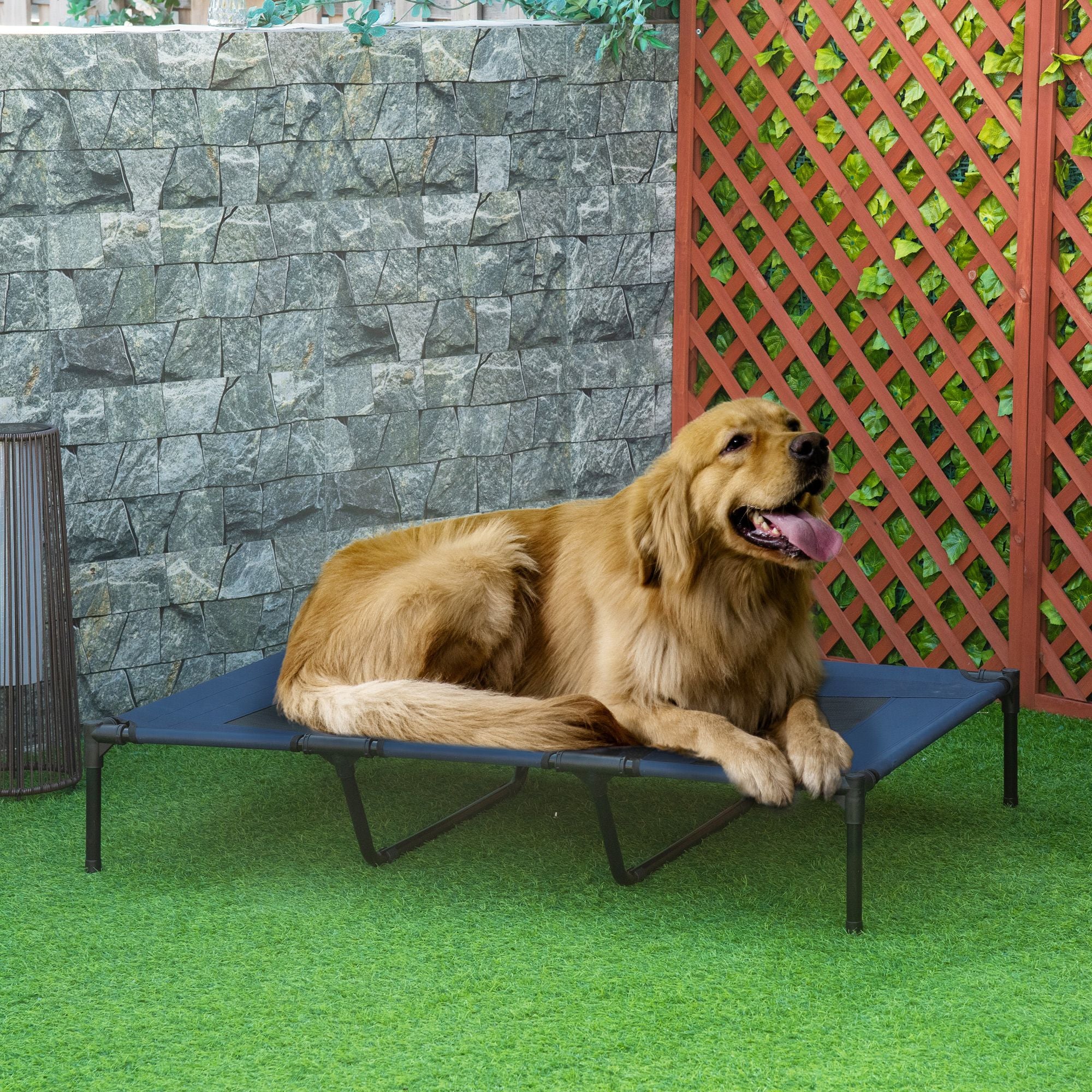 Elevated Breathable Dog Bed with Carry Bag – Cool Comfort for Pets