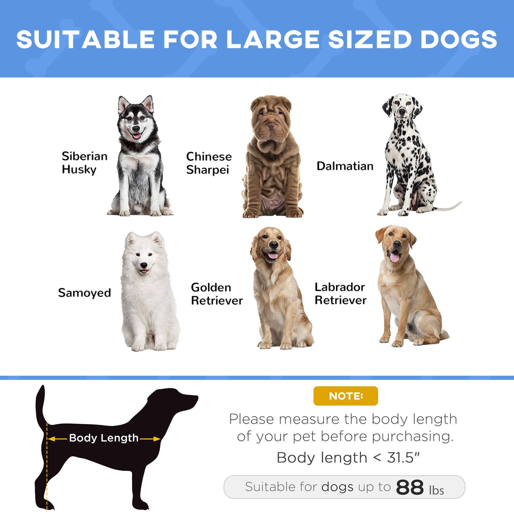 Elevated Breathable Dog Bed with Carry Bag – Cool Comfort for Pets