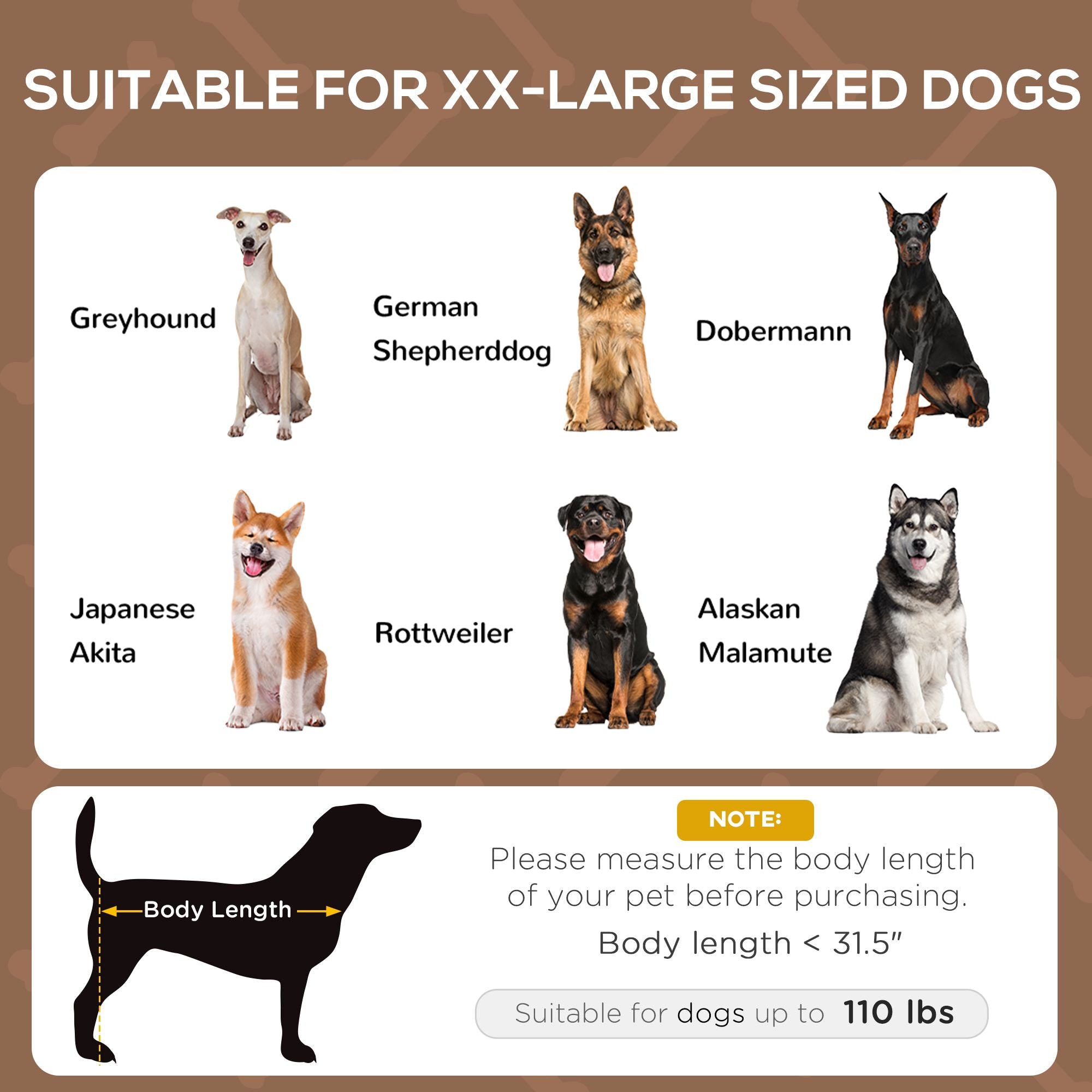 Keep Your Pup Cool & Comfortable with This Elevated Dog Cot & Canopy