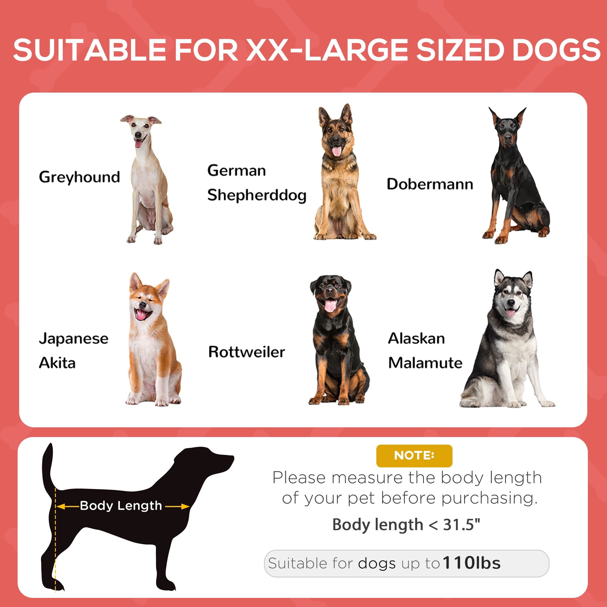 Keep Your Pup Cool & Comfortable with This Elevated Dog Cot & Canopy
