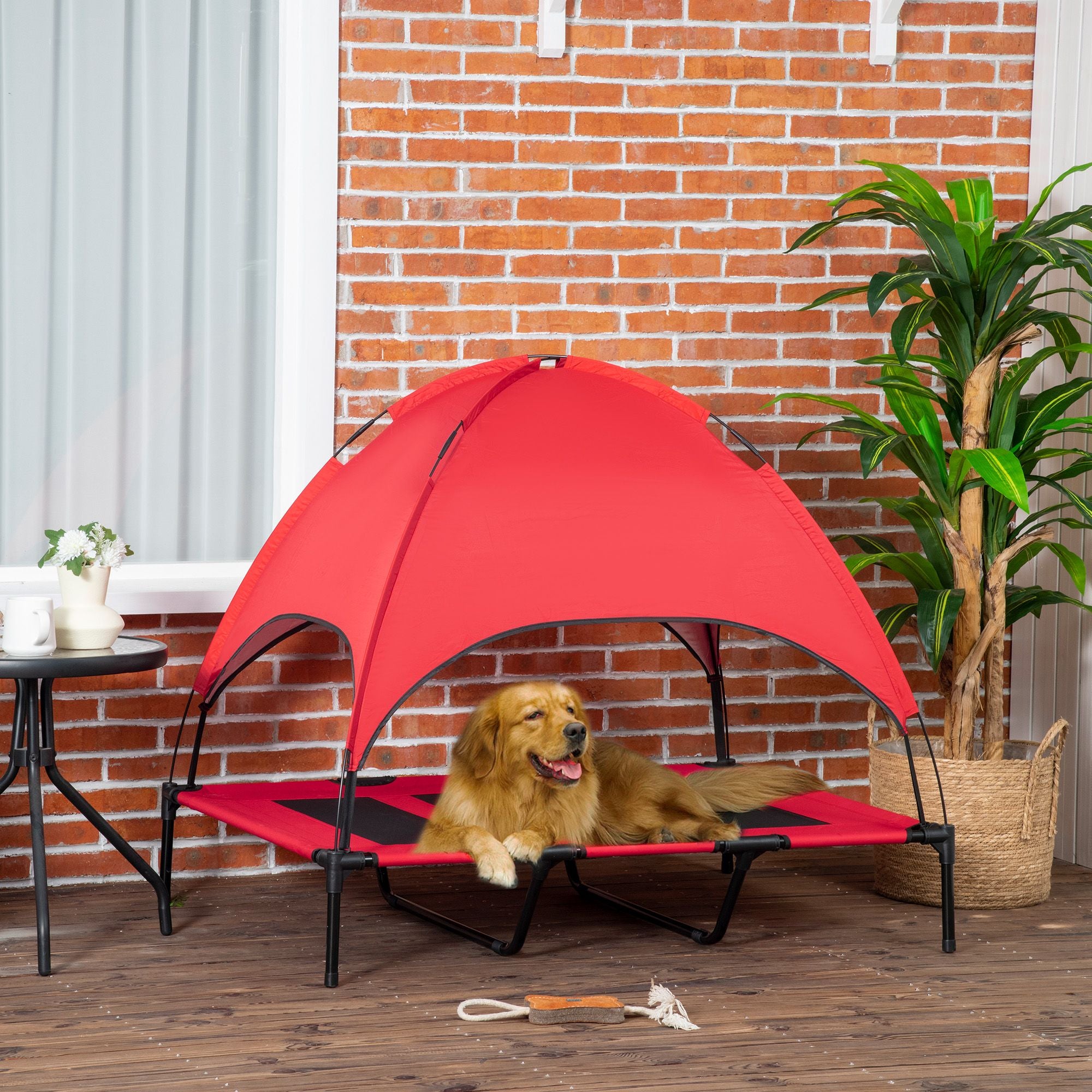 Keep Your Pup Cool & Comfortable with This Elevated Dog Cot & Canopy
