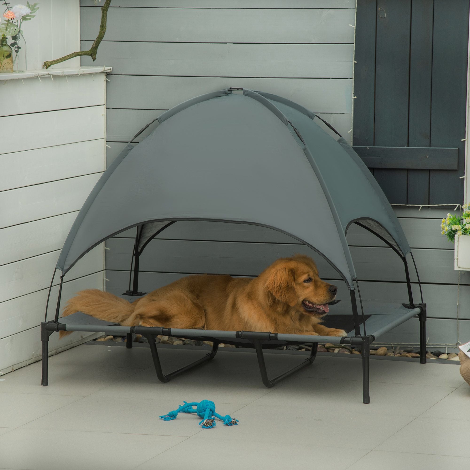 Keep Your Pup Cool & Shaded Anywhere with This Elevated Portable Dog Cot