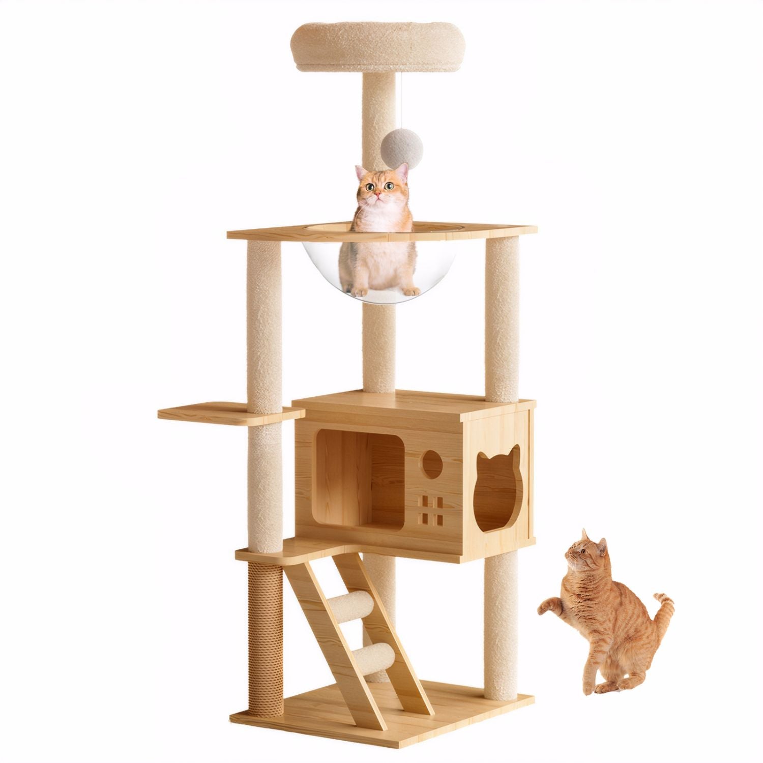48.8" Modern Cat Tower with Sisal Scratching Posts and Acrylic Hammock