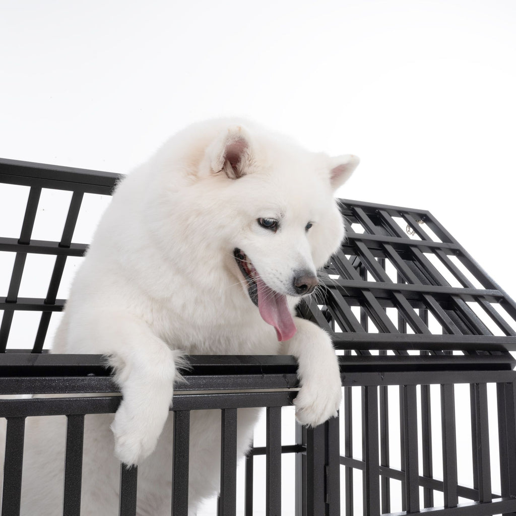 55" Heavy Duty Dog Crate Large Dog cage Strong Metal Dog Kennels and Crates for Large Dogs with 4 Lockable Wheels