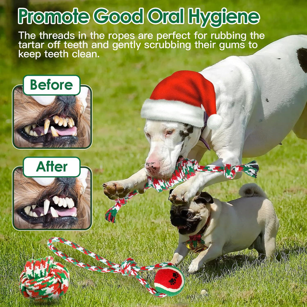 Christmas Dog Rope Chew Toys Set - Festive & everyday Interactive Play