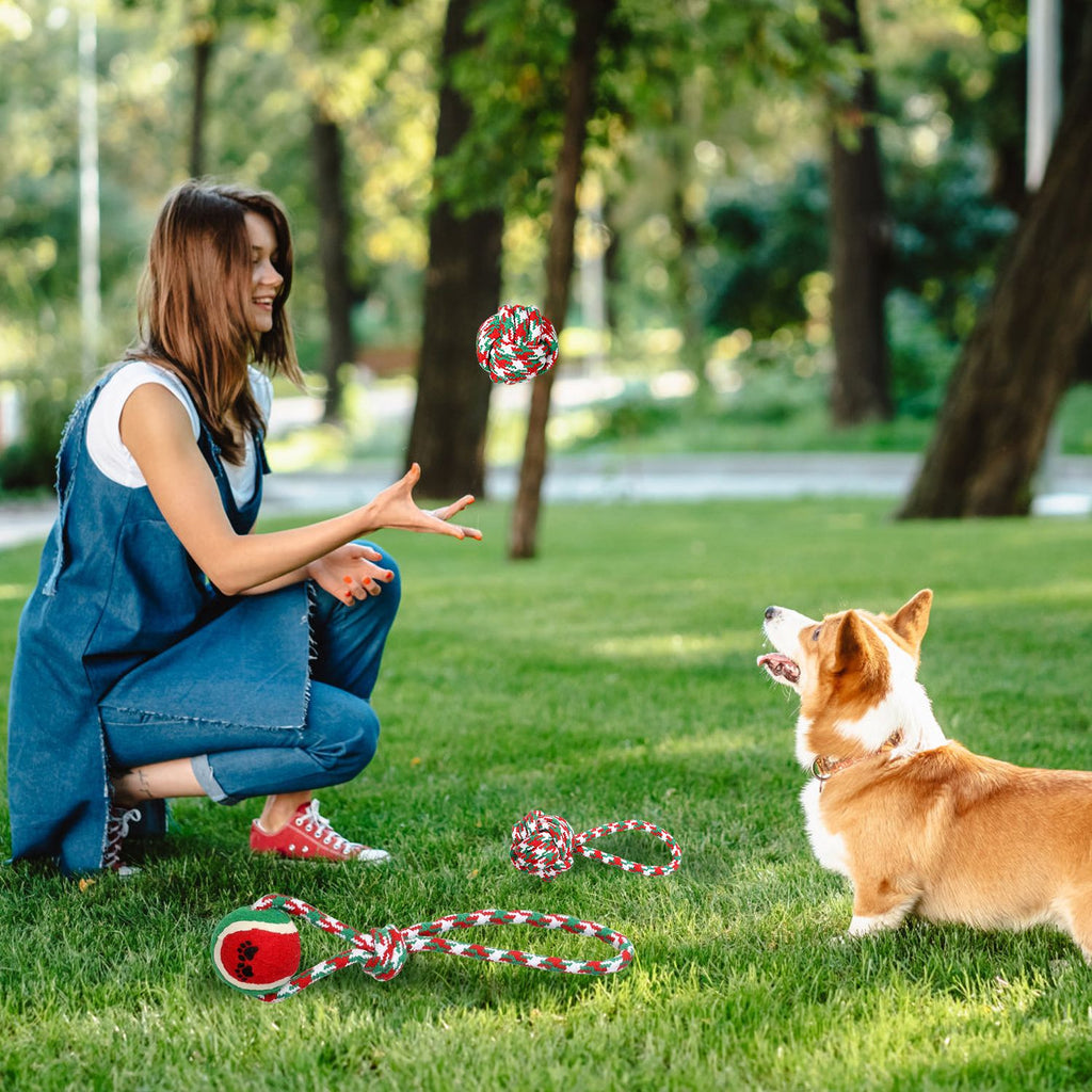 Christmas Dog Rope Chew Toys Set - Festive & everyday Interactive Play