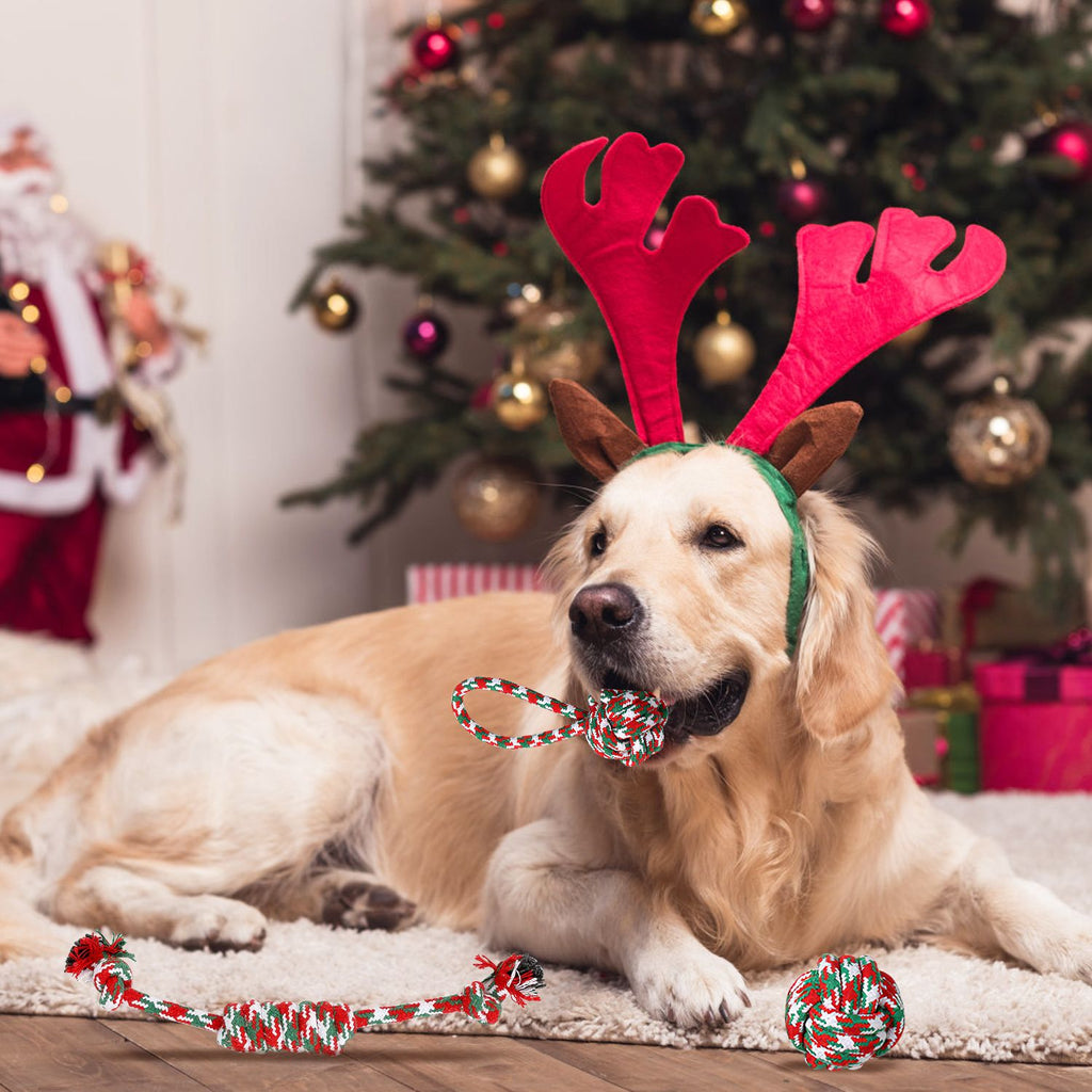 Christmas Dog Rope Chew Toys Set - Festive & everyday Interactive Play
