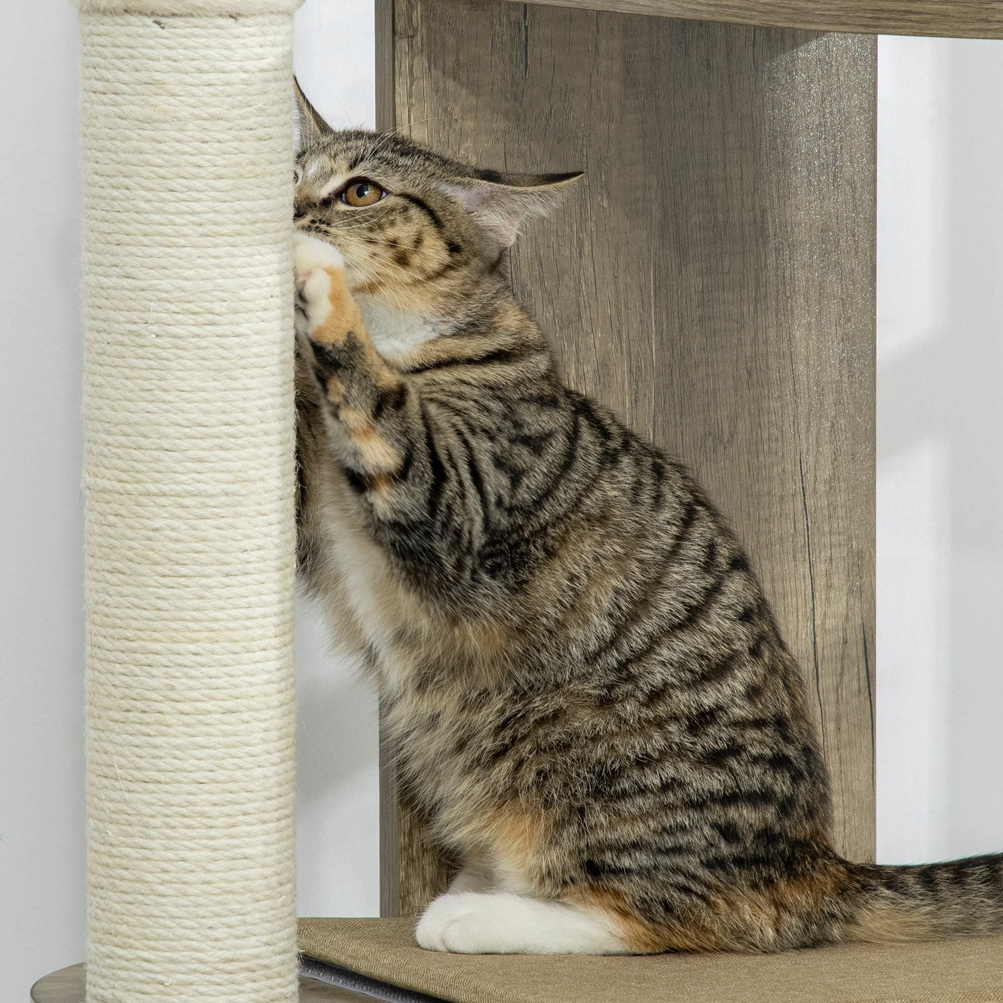 65" Corner Modern Cat Tree Tall for Climbing, Large Multilevel Cat Tower with Scratching Posts, Small-Fit Kitten Tower with Sisal, Cream White