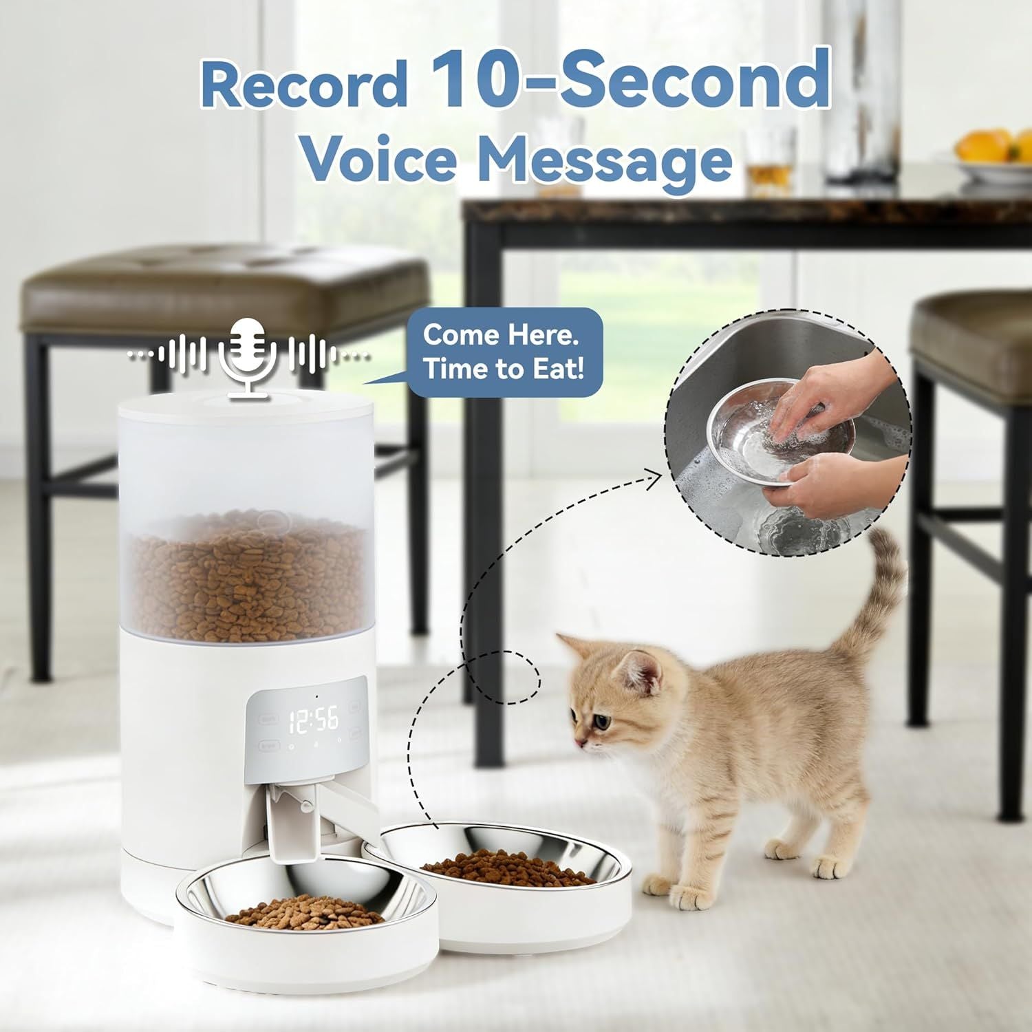 Feed Your Cats Perfectly Every Time – Even When You're Away