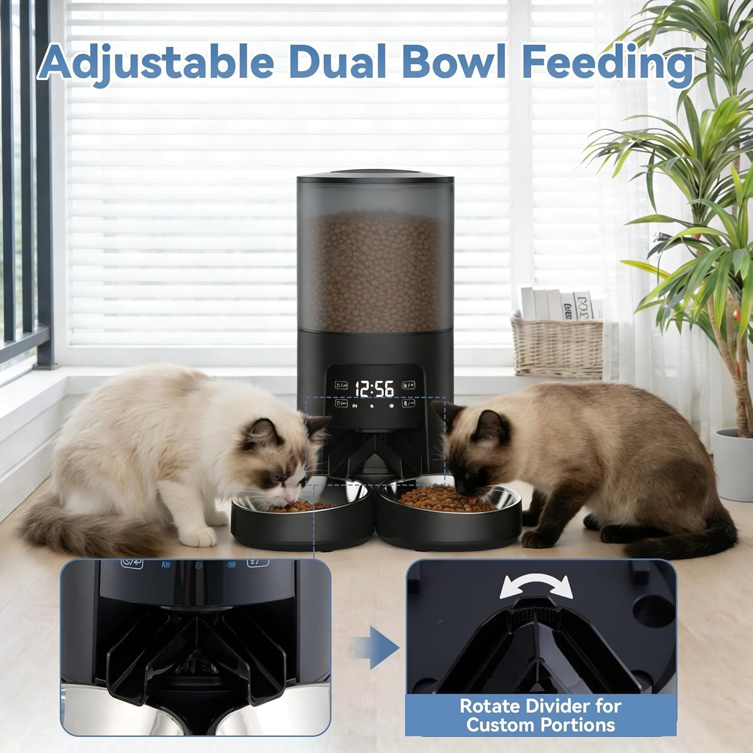 Feed Your Cats Perfectly Every Time – Even When You're Away