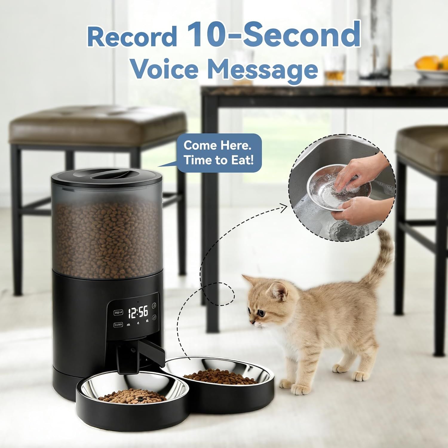 Feed Your Cats Perfectly Every Time – Even When You're Away