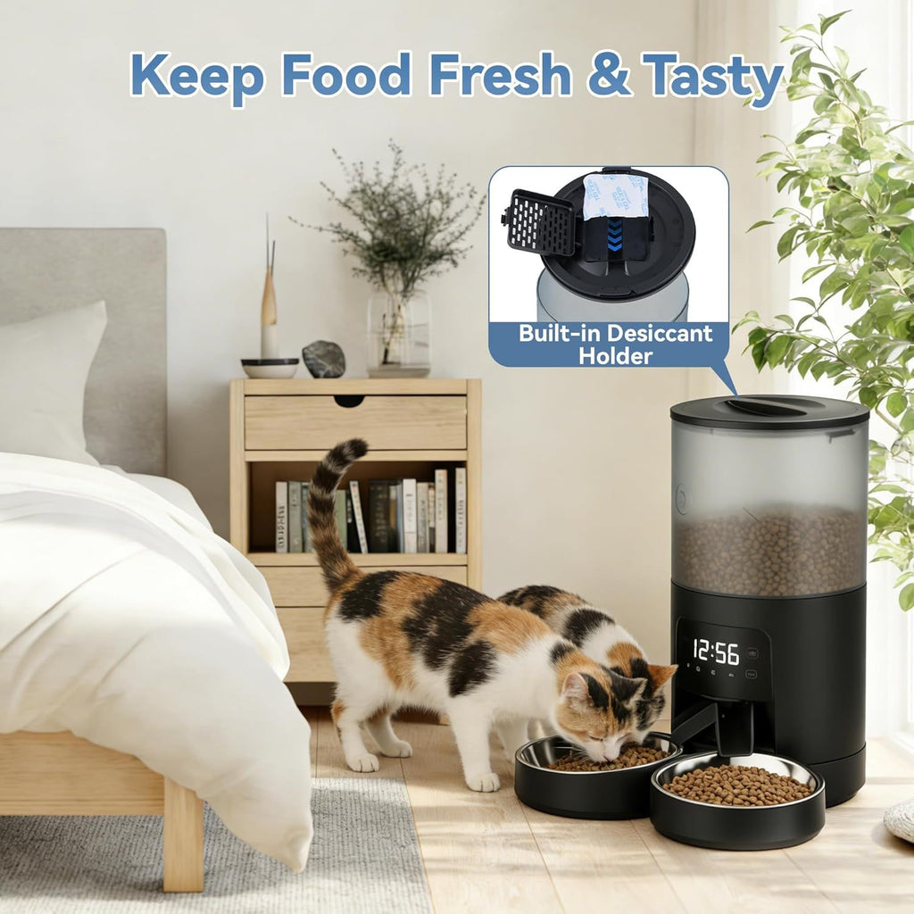 Feed Your Cats Perfectly Every Time – Even When You're Away
