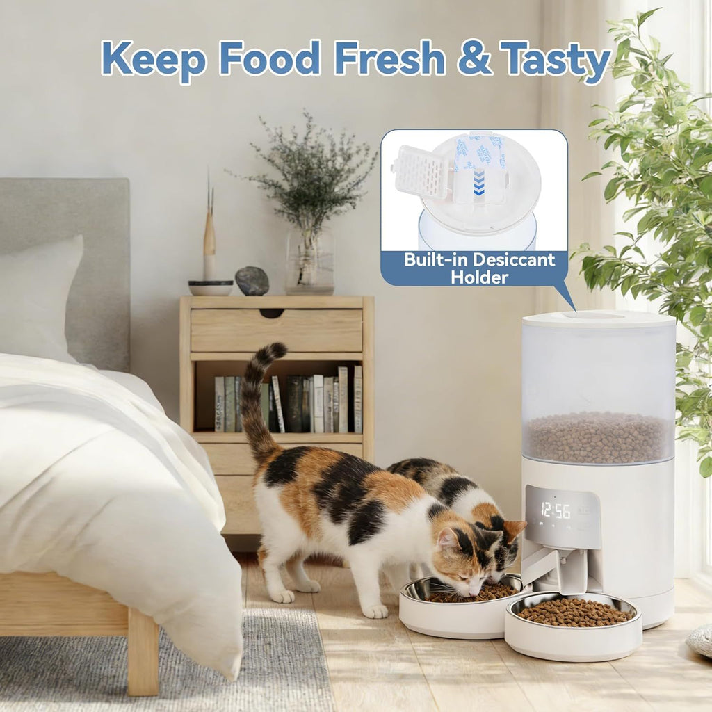 Feed Your Cats Perfectly Every Time – Even When You're Away