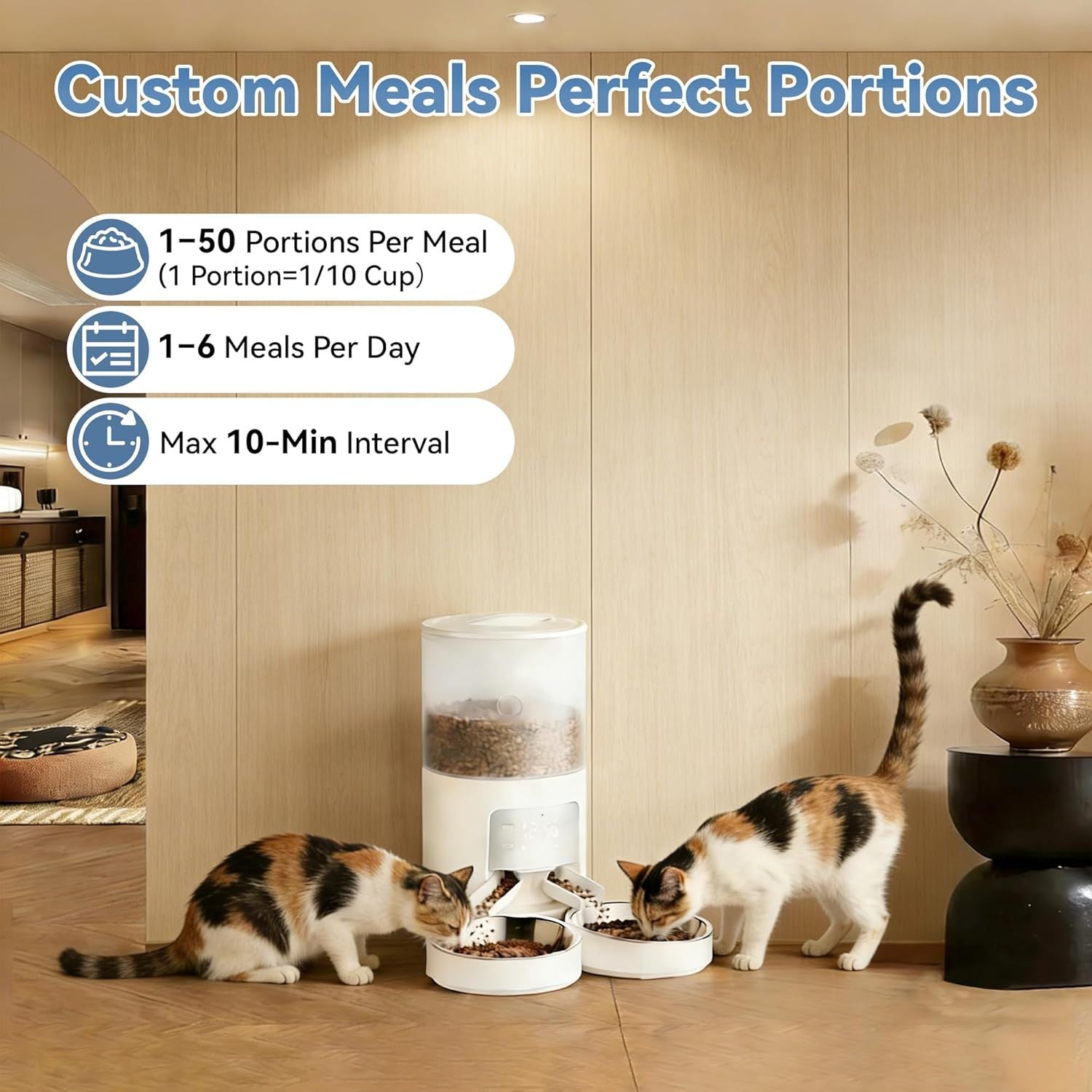 Feed Your Cats Perfectly Every Time – Even When You're Away