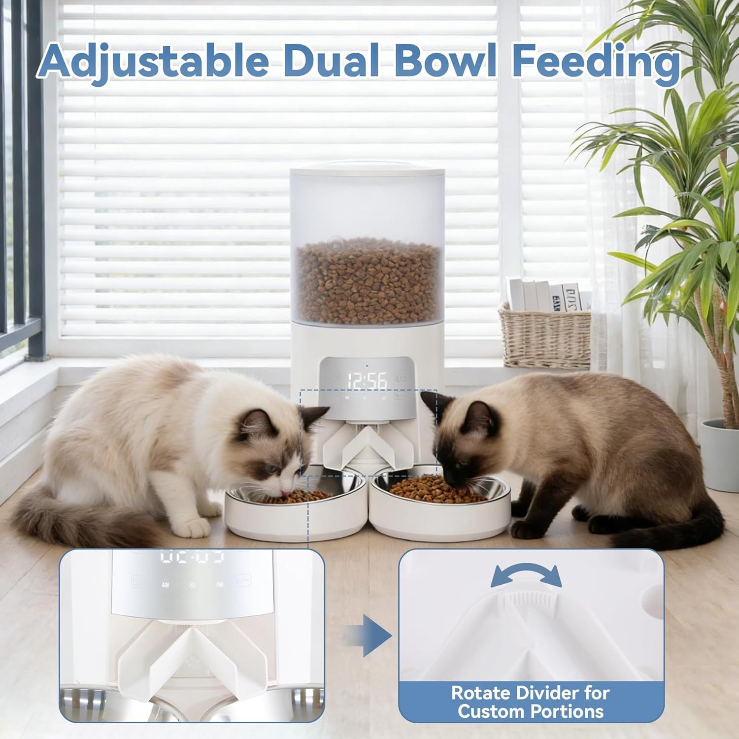 Feed Your Cats Perfectly Every Time – Even When You're Away