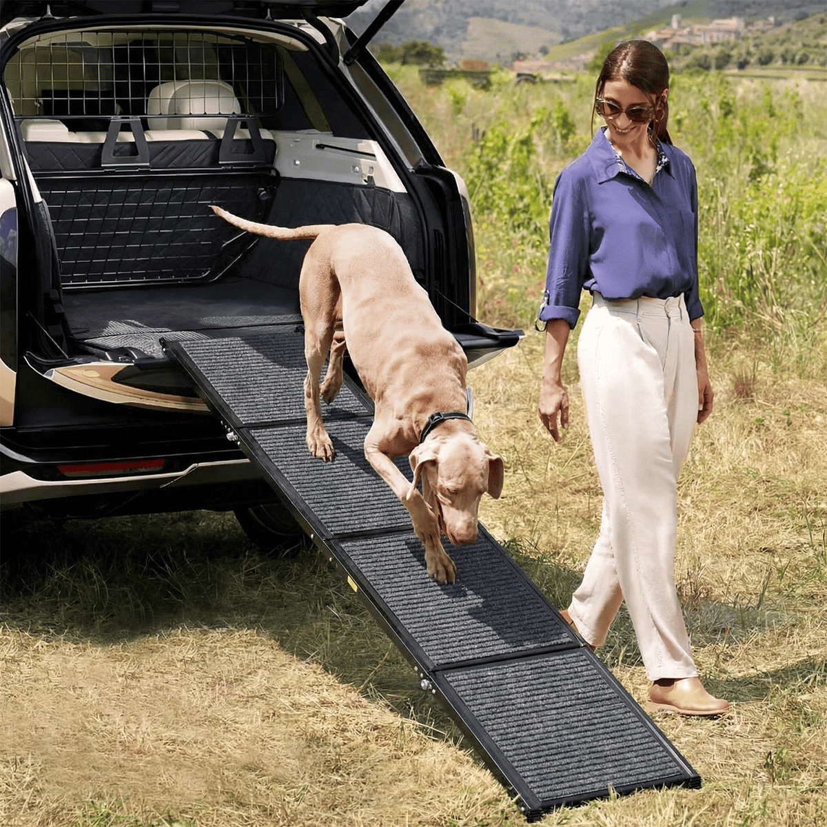 71" Long & 19" Wide Folding Dog Ramp for Car, SUV & Truck – Portable Pet Ramp with Non-Slip Surface, Extra Wide Steps