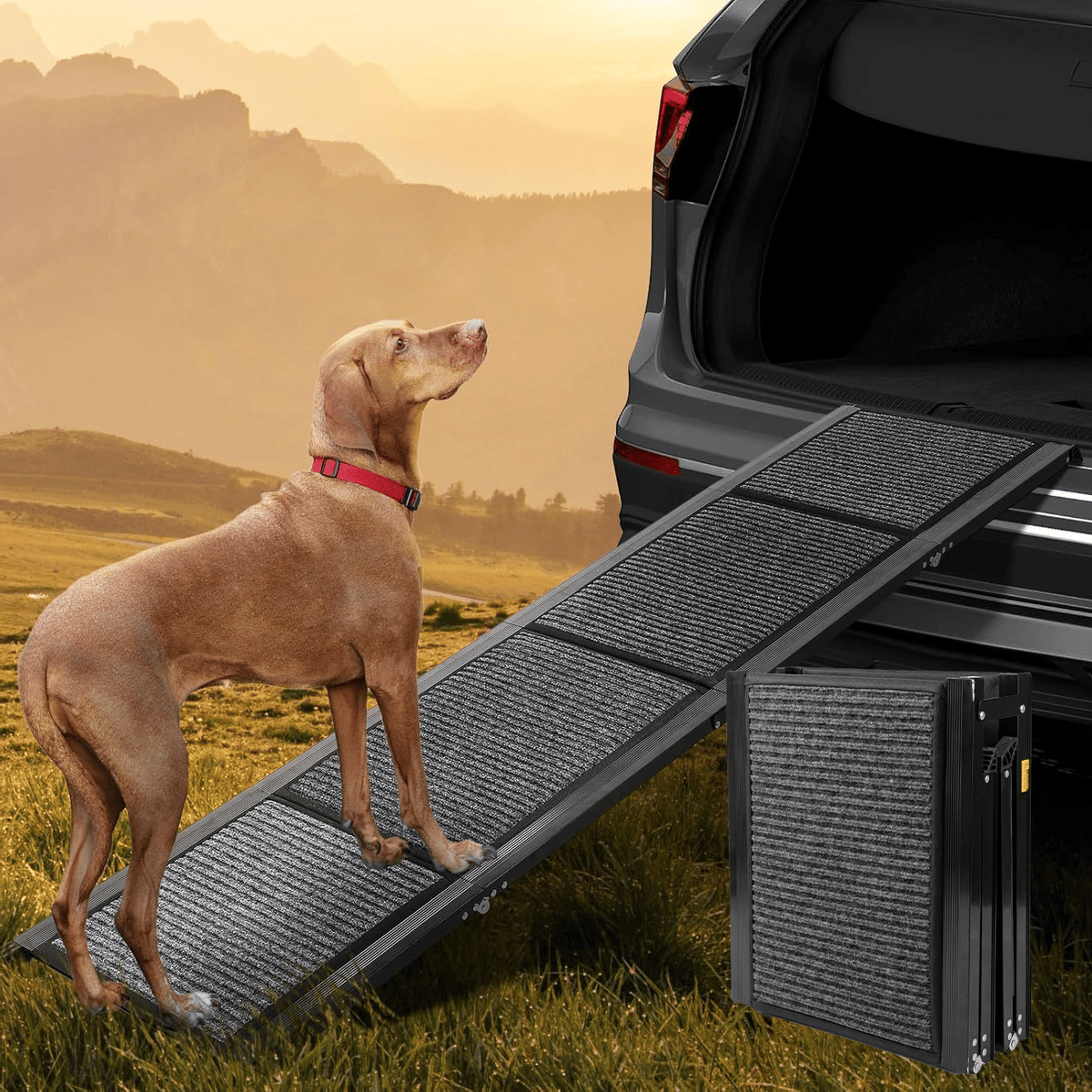 71" Long & 19" Wide Folding Dog Ramp for Car, SUV & Truck – Portable Pet Ramp with Non-Slip Surface, Extra Wide Steps