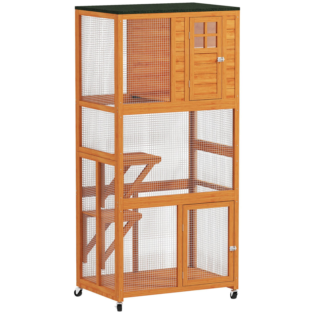 Give Your Cat the Best of Both Worlds with This Outdoor Catio