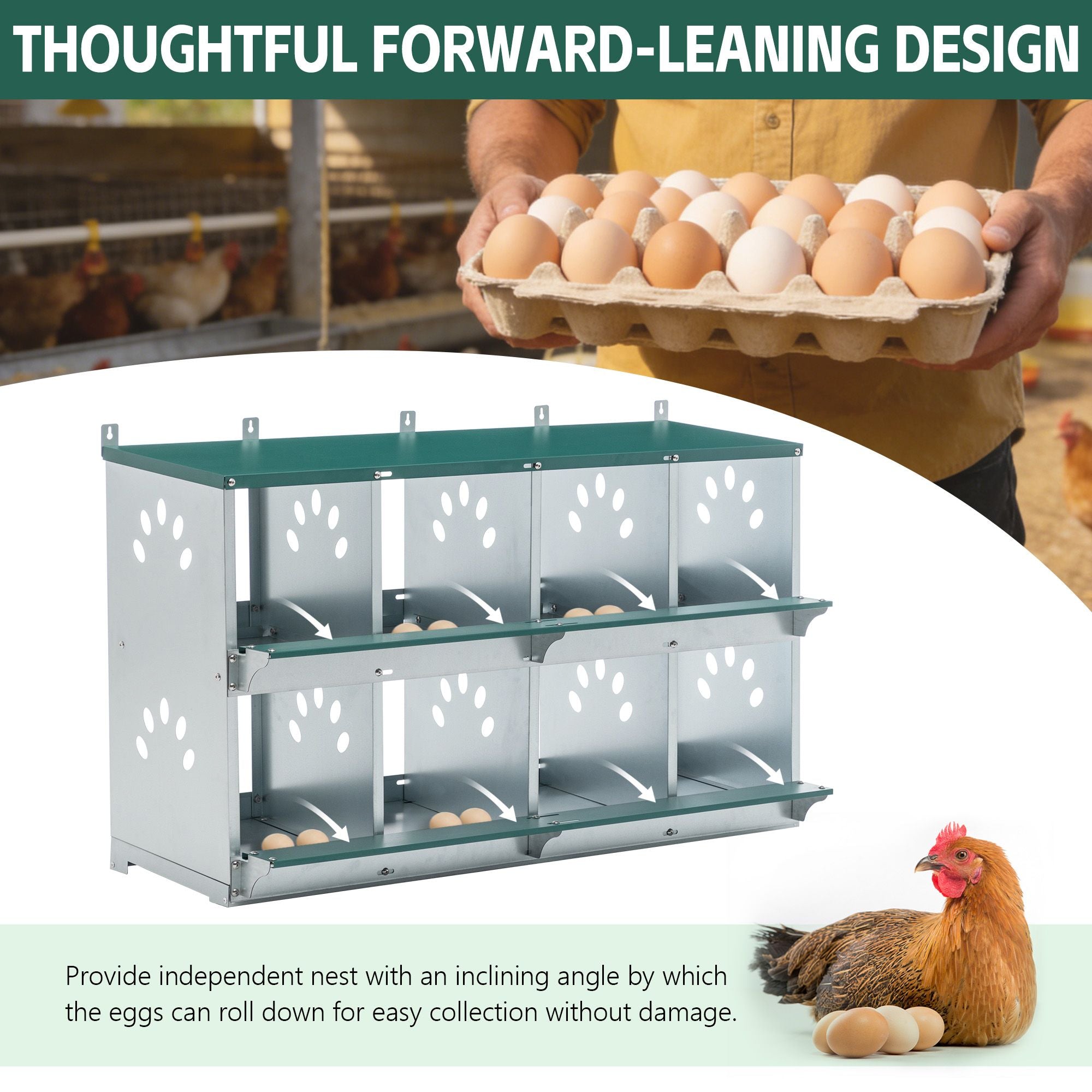 Give Your Hens a Cozy, Egg-Friendly Nesting Box