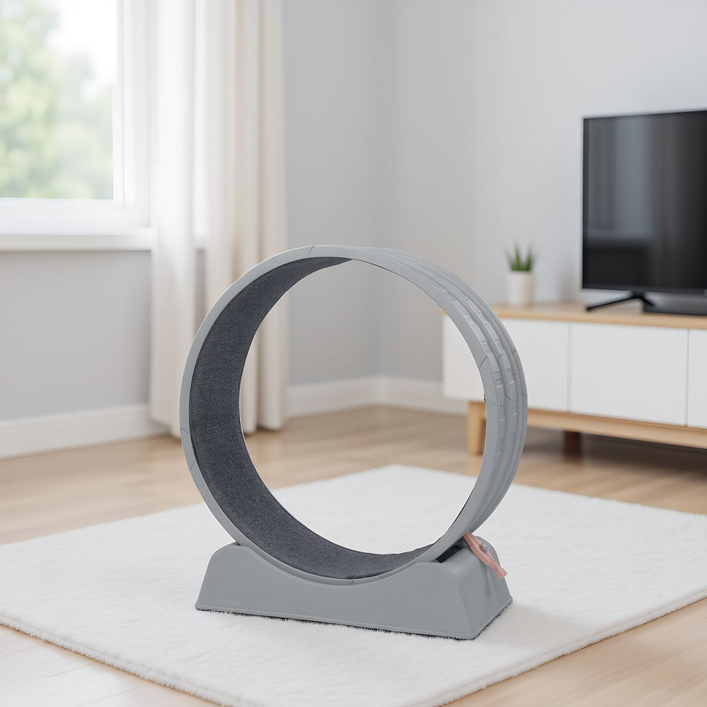 Indoor Cat Exercise Wheel with Quiet Rollers and Lock