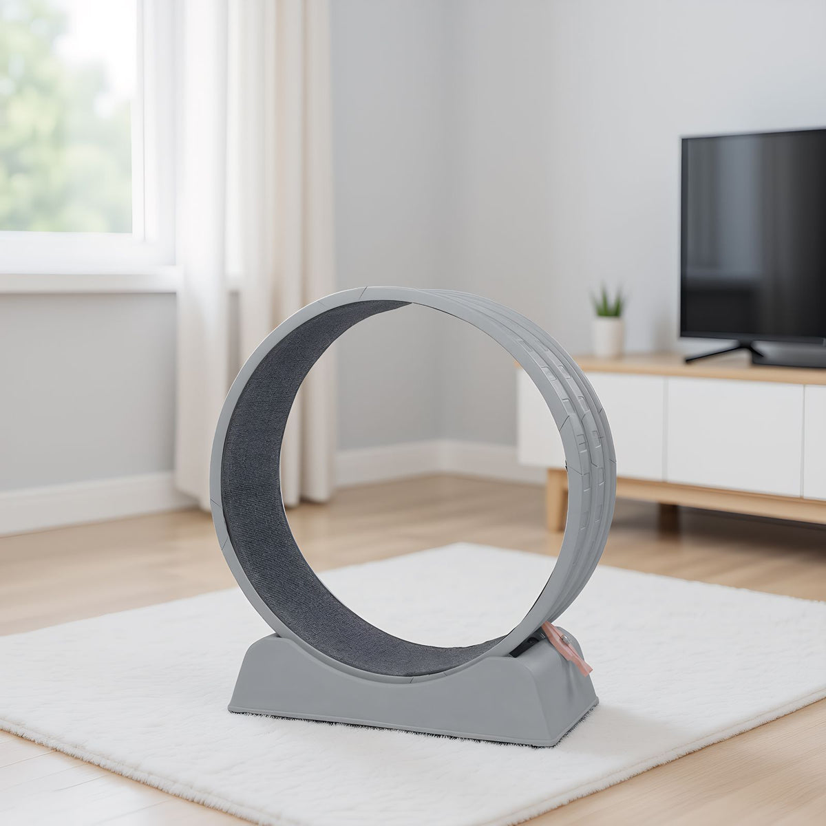 Indoor Cat Exercise Wheel with Quiet Rollers and Lock