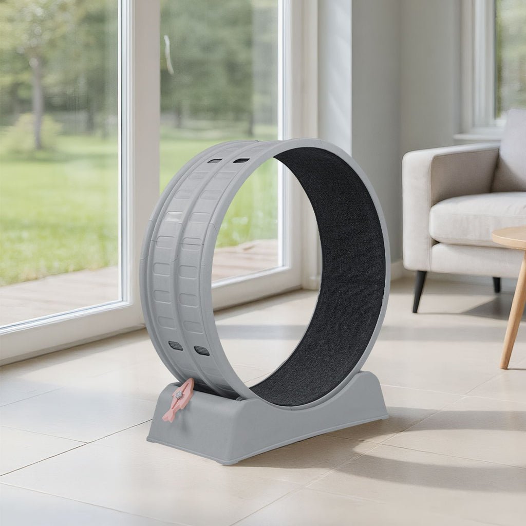 Indoor Cat Exercise Wheel with Quiet Rollers and Lock