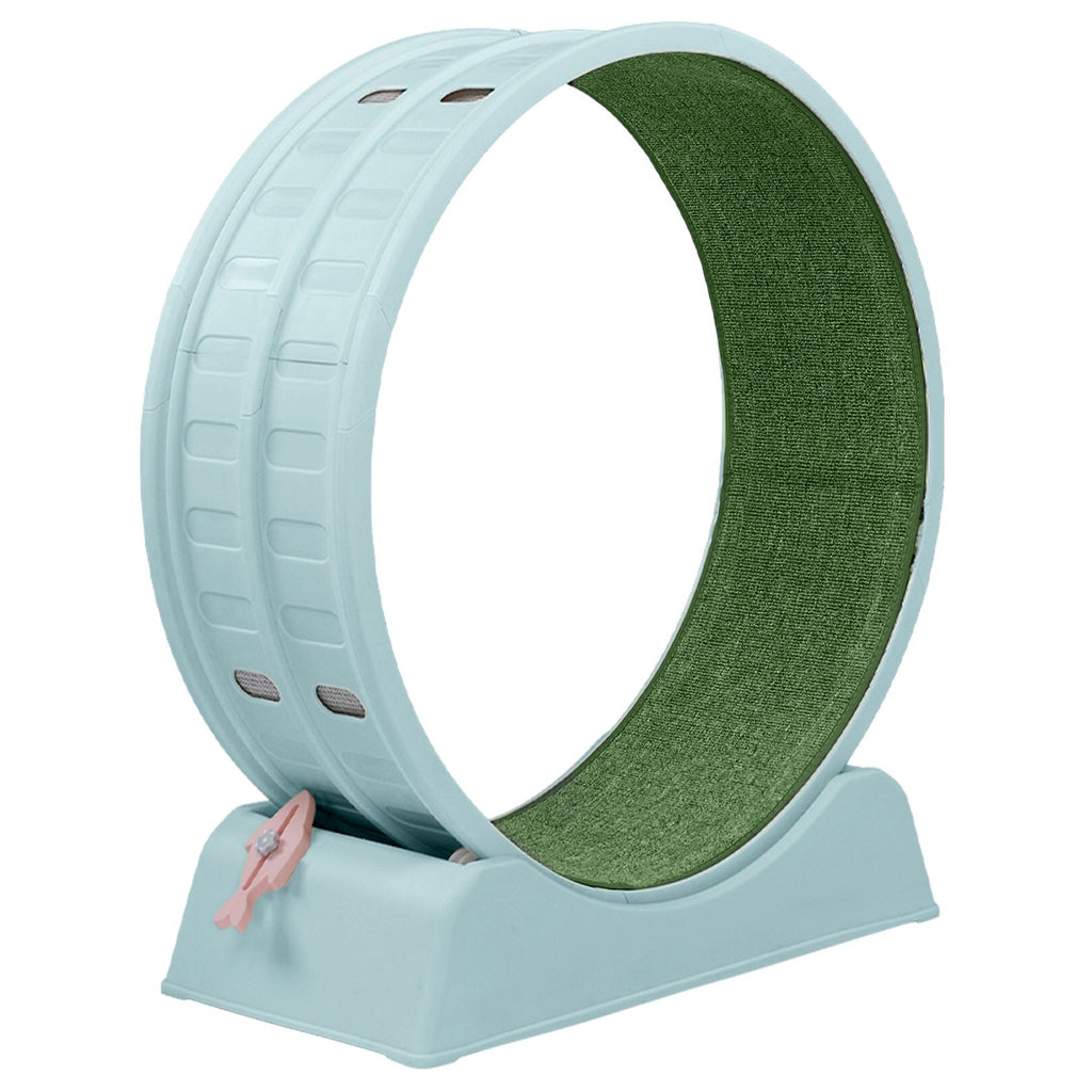 Circular Cat Exercise Wheel with Silent Rollers and Safety Lock