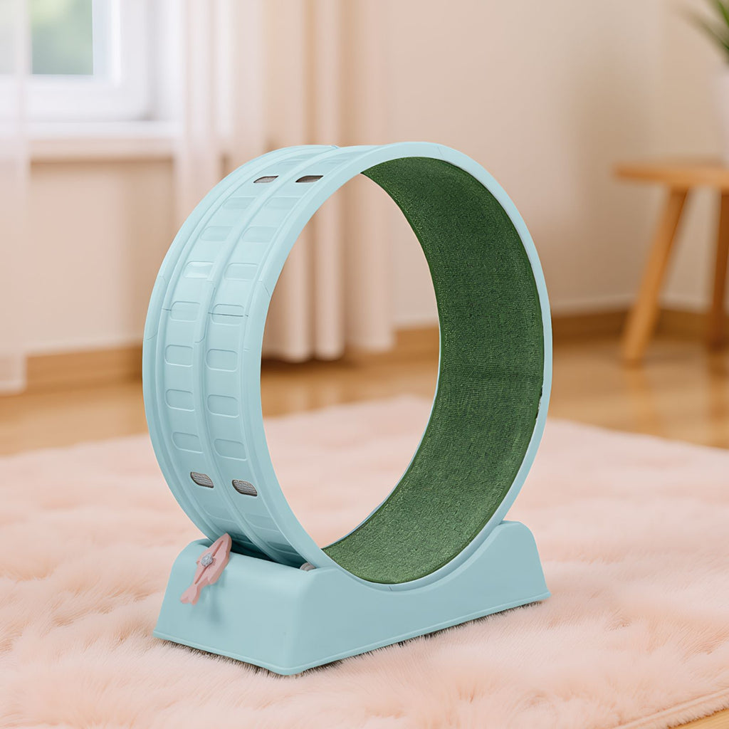 Circular Cat Exercise Wheel with Silent Rollers and Safety Lock