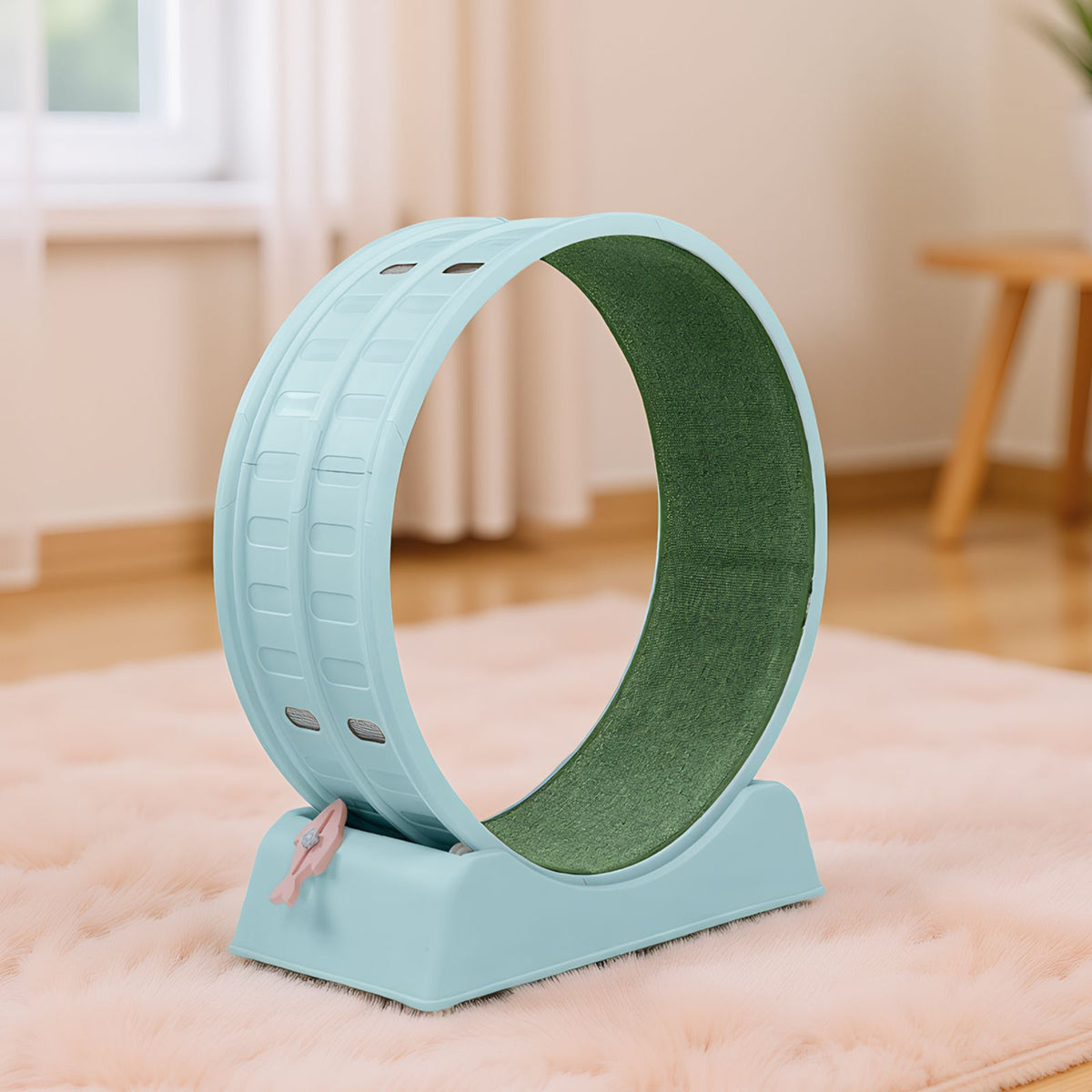 Circular Cat Exercise Wheel with Silent Rollers and Safety Lock