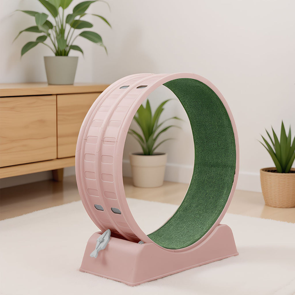 31.5- Cat Exercise Wheel with Carpeted Runway & Silent Design