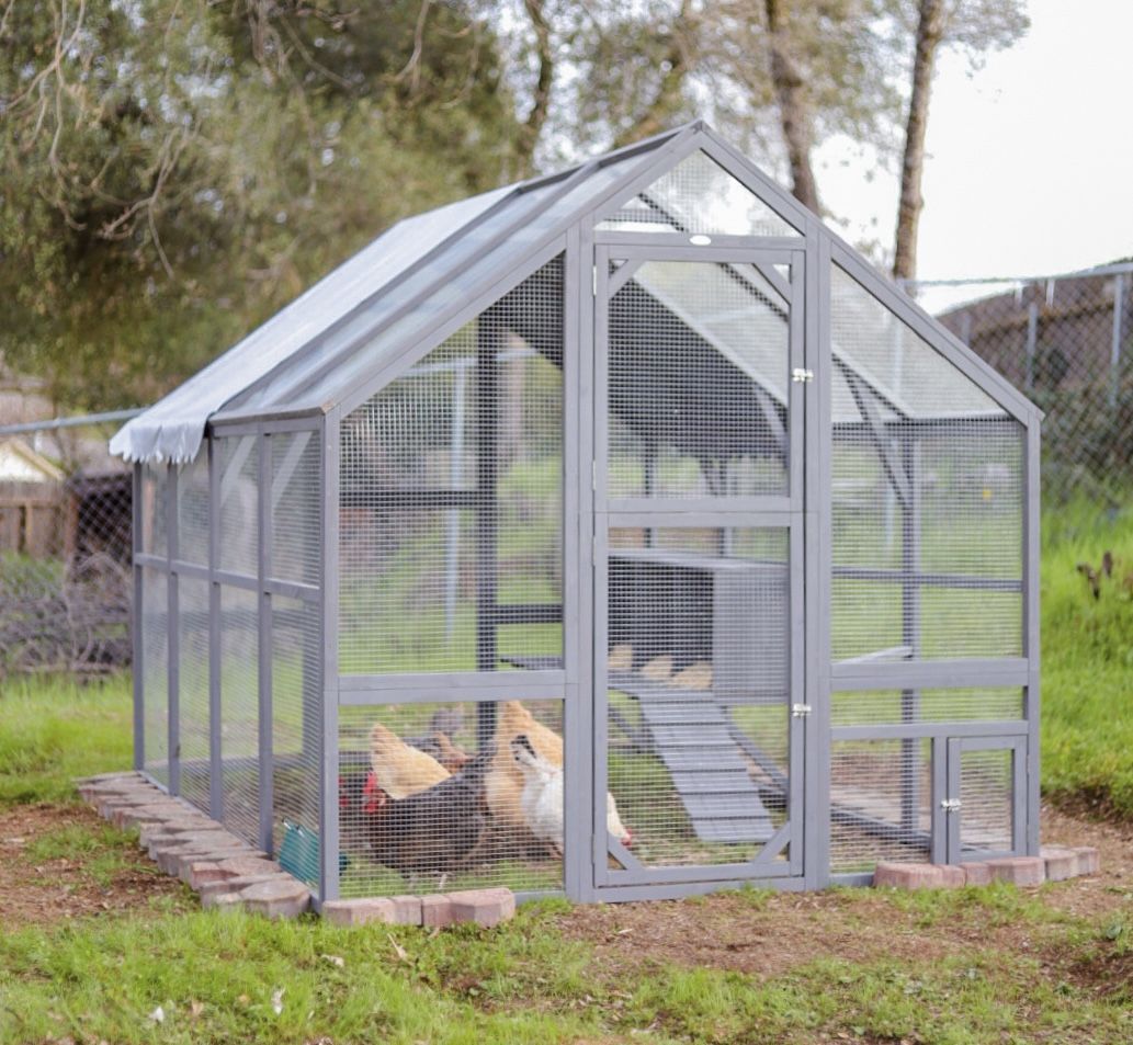 Give Your Flock a Spacious, Secure Home with This Large Chicken Coop Run