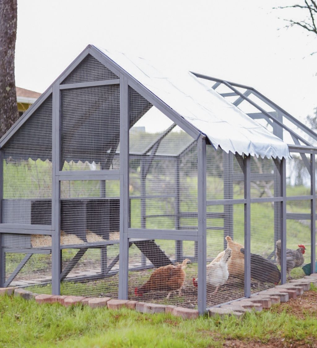 Give Your Flock a Spacious, Secure Home with This Large Chicken Coop Run