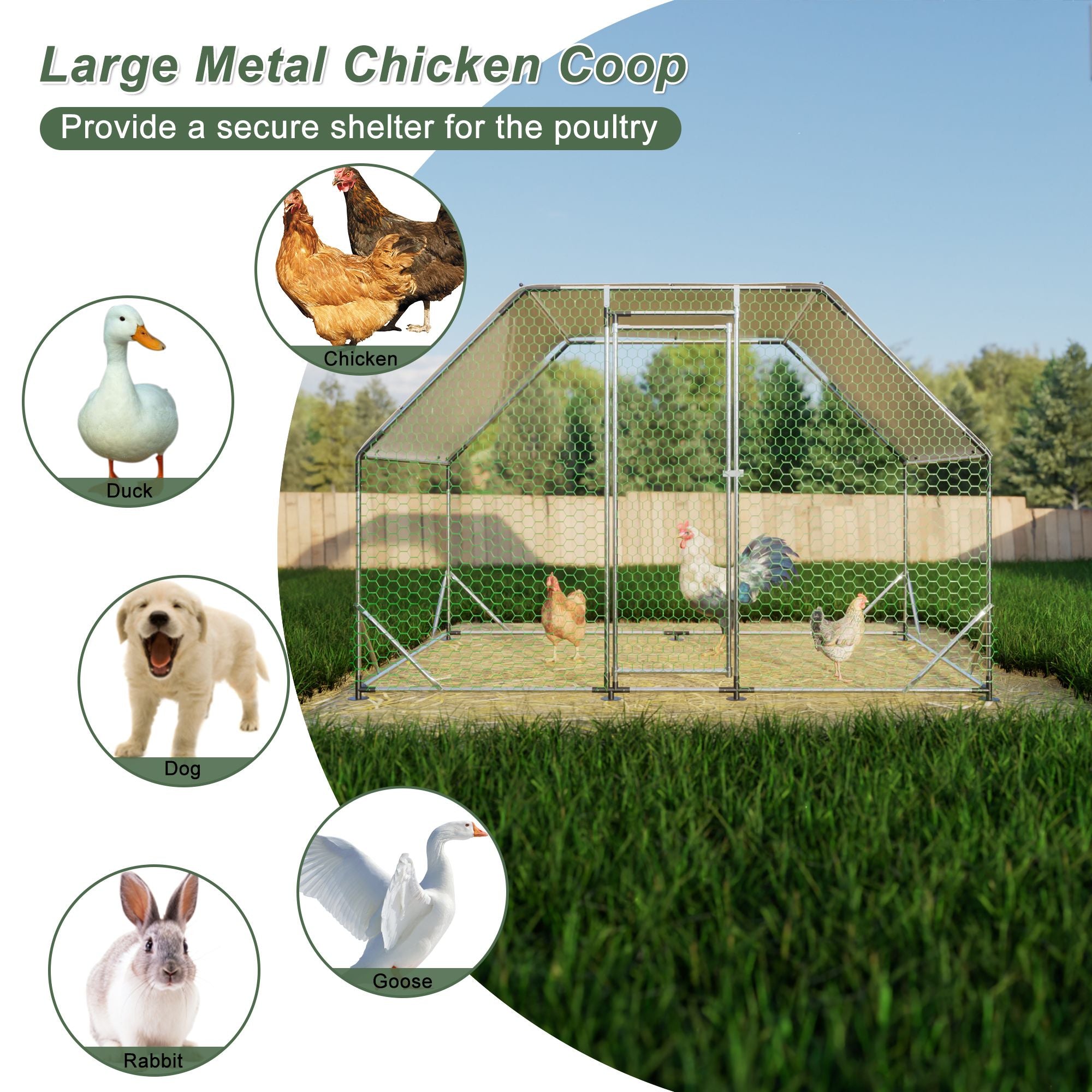 Galvanized Steel Walk-In Poultry Coop with Weatherproof Cover