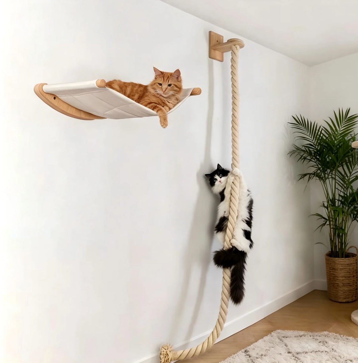 Wall-Mounted Cat Hammock and Climbing Shelf for High Perches