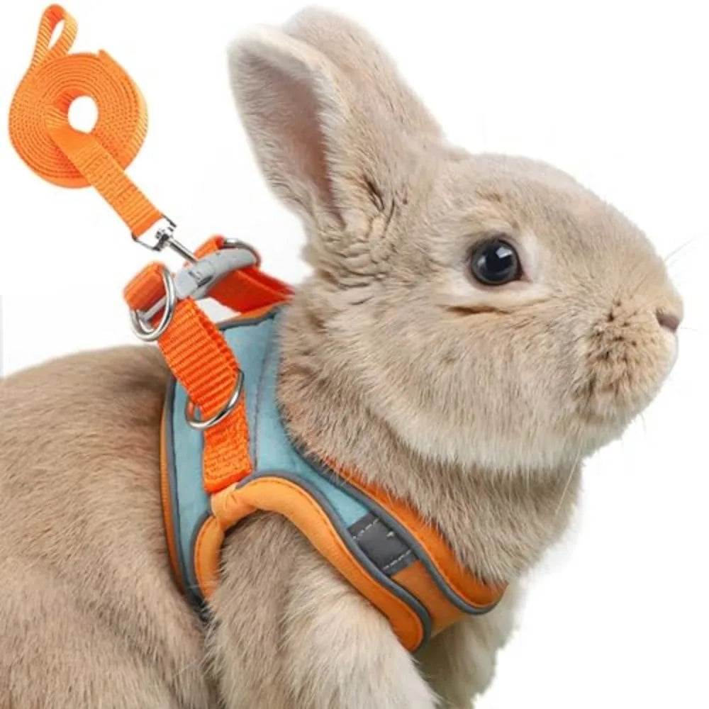 Reflective Rabbit Harness and Leash Set for Small Pet Walks