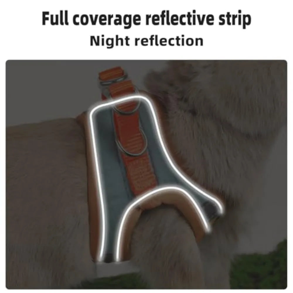 Reflective Rabbit Harness and Leash Set for Small Pet Walks