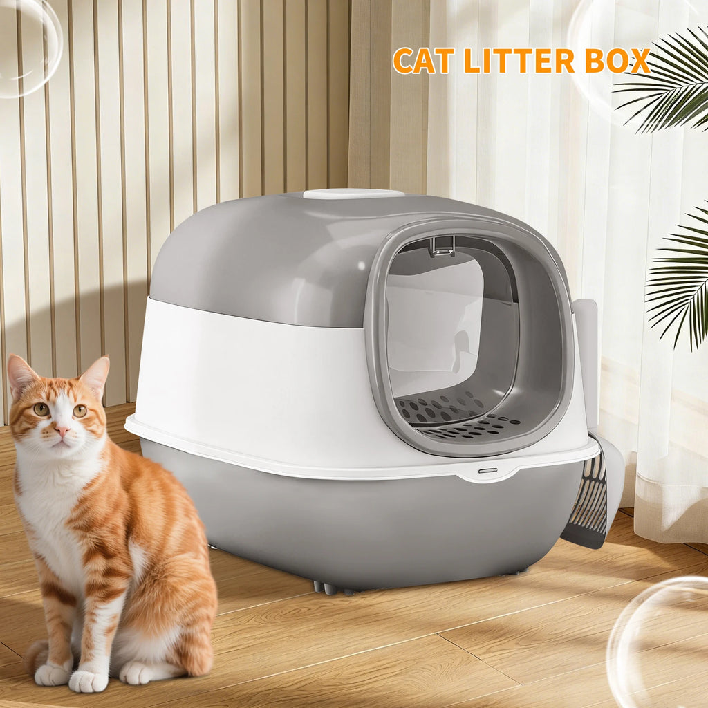 Spacious Open-Top Cat Litter Box with Clear Sides and Scoop
