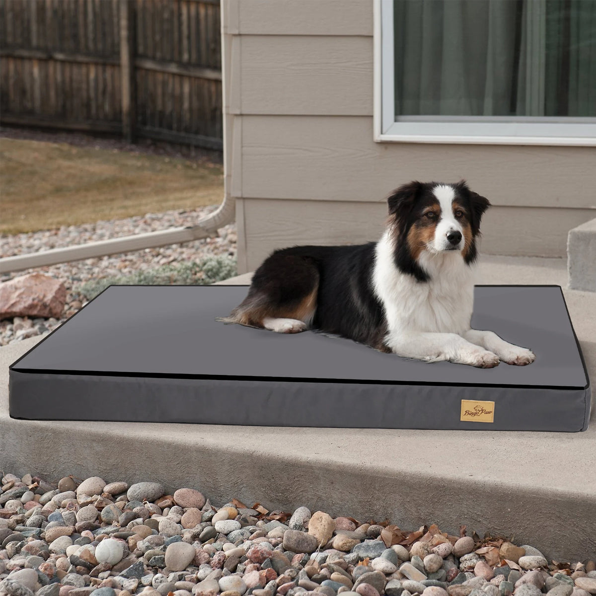 Washable Dog Pillow Bed with Supportive Base and Removable Mattress