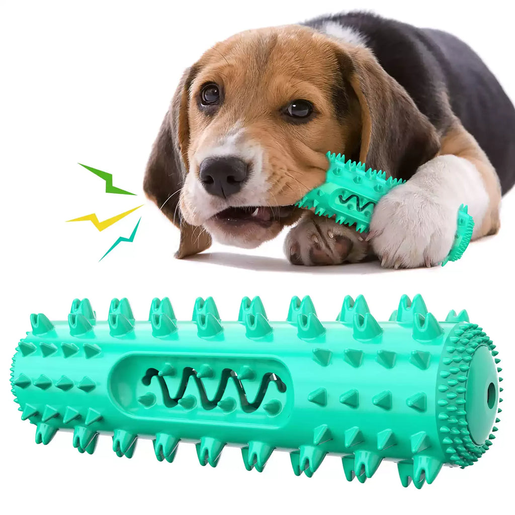 Interactive Squeaky Dog Chew Toy for Play and Teeth Cleaning
