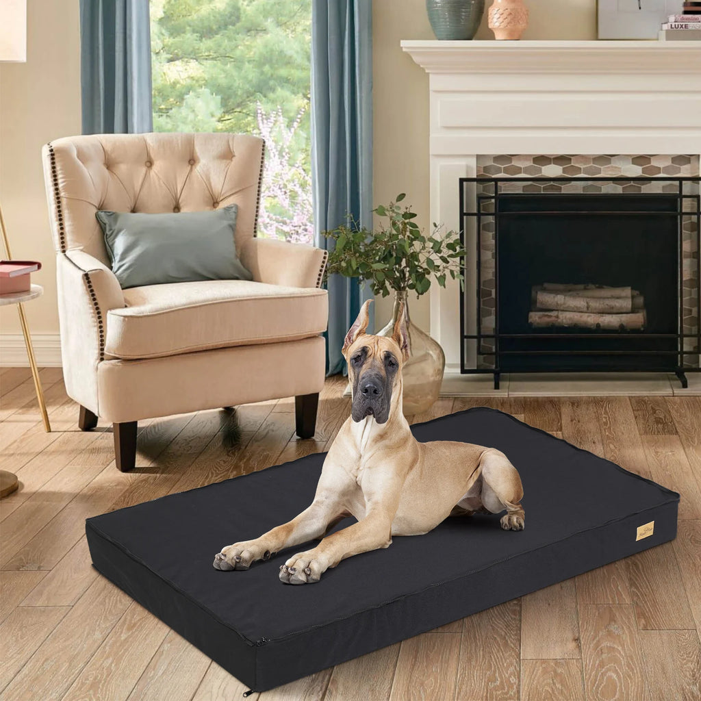 Washable Dog Pillow Bed with Supportive Base and Removable Mattress