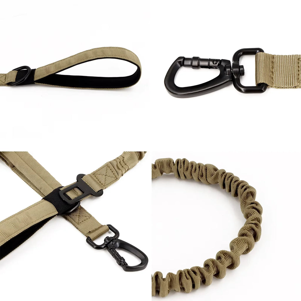 Dual-Handle Dog Leash with Shock-Absorbing Bungee for Walks and Training