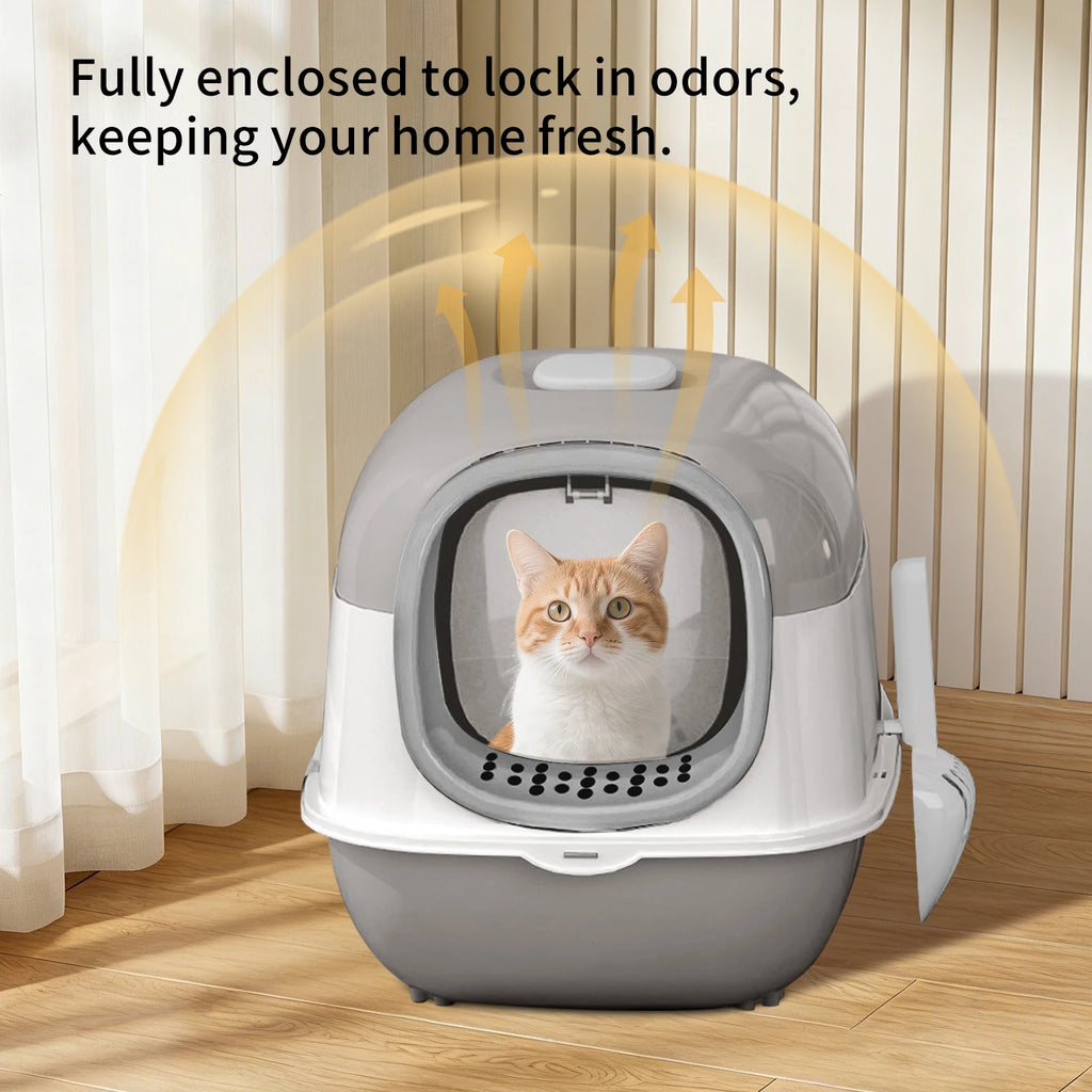 Spacious Open-Top Cat Litter Box with Clear Sides and Scoop