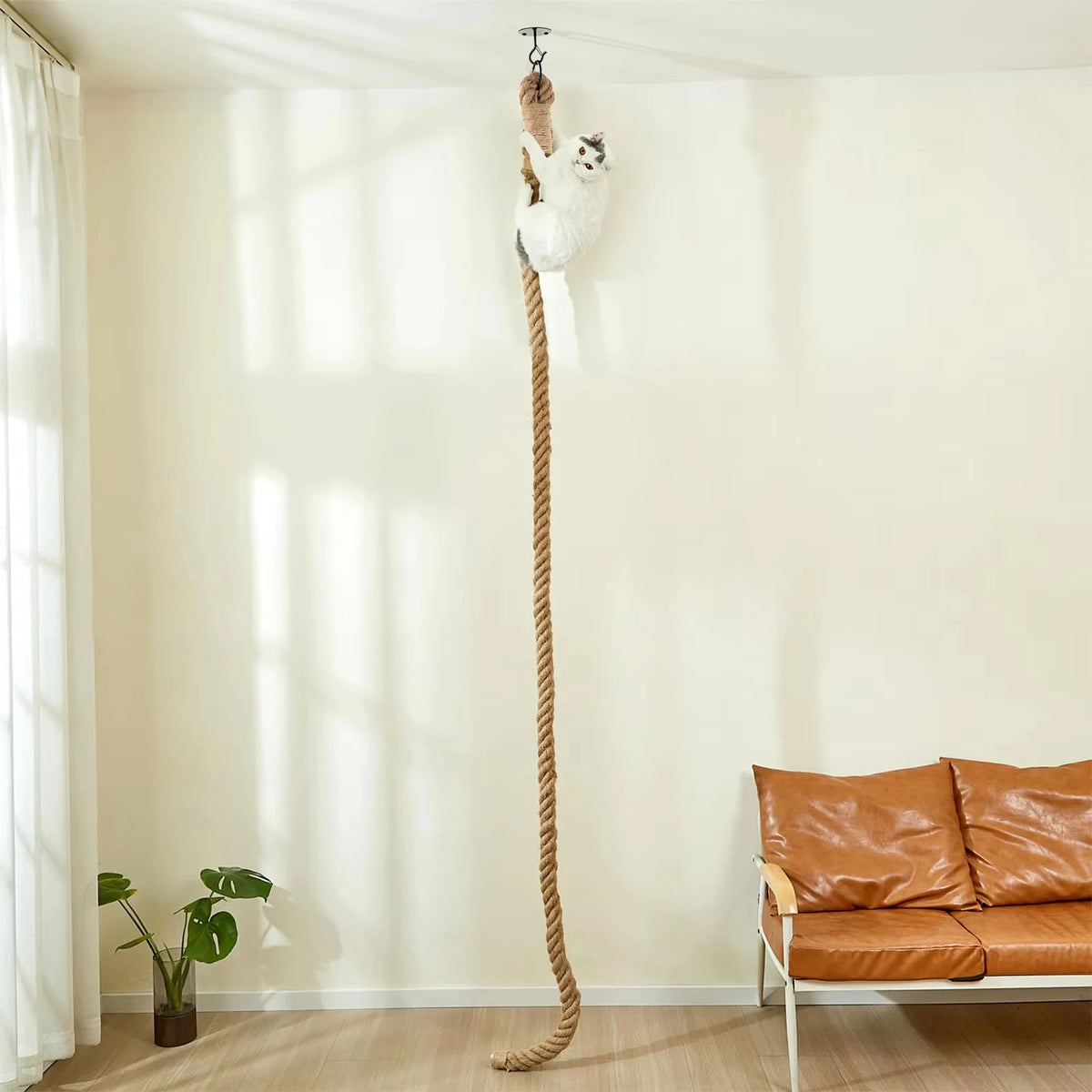 Indoor Cat Climbing Rope with Ceiling or Wall Mounting