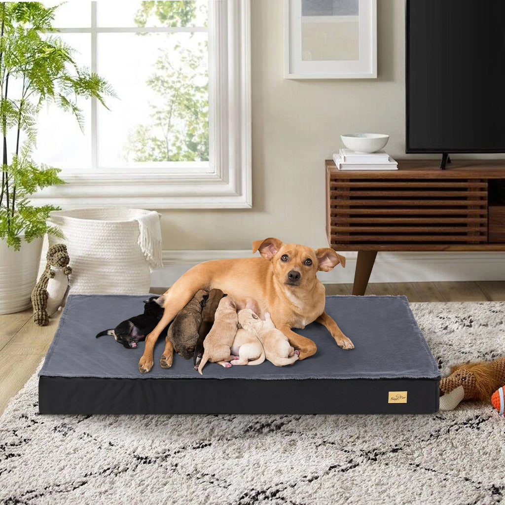 Washable Dog Pillow Bed with Supportive Base and Removable Mattress